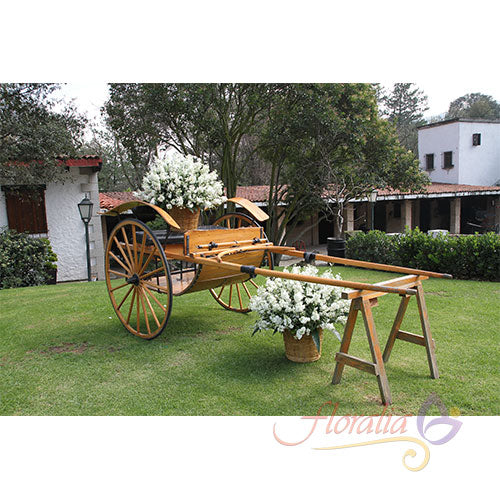 Las flores y los eventos a celebrar