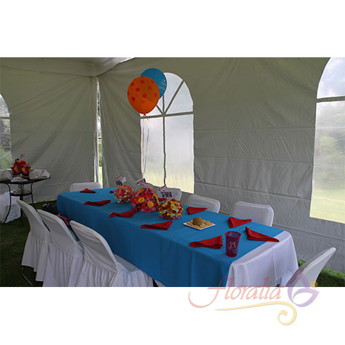 Mesa de cumpleaños en jardín