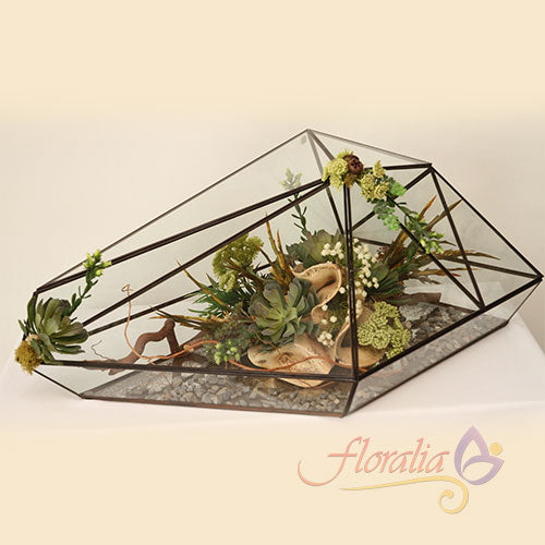 Terrarium con suculentas