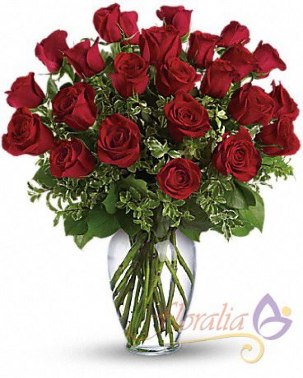 Clásico de rosas rojas