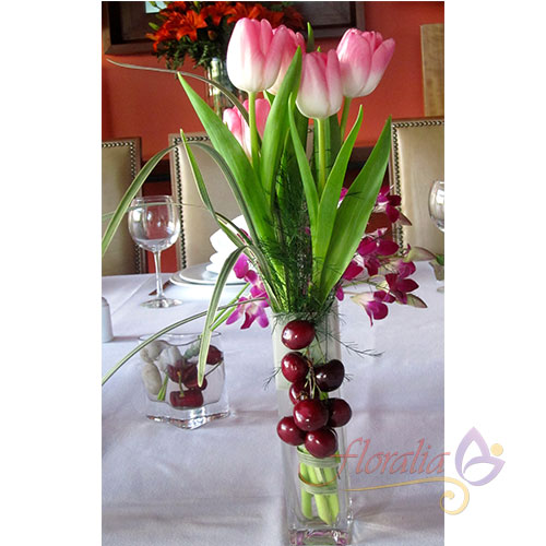 Encanto de tulipanes