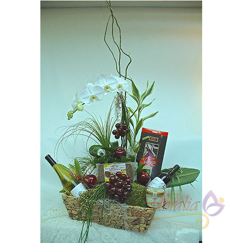 La orquídea y sus delicias