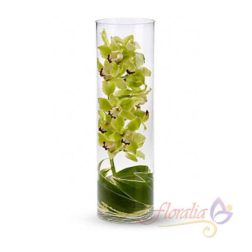 Minimalismo con orquídeas