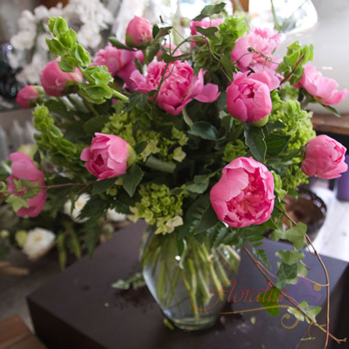 Peonias en rosa